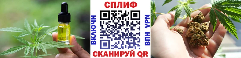 Купить где  Навашино  Cannafood конопля 