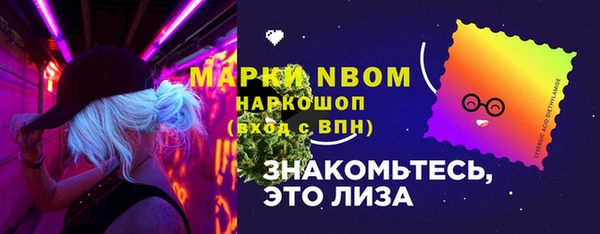 амф Гусиноозёрск