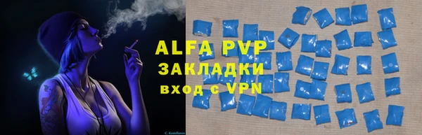 амф Гусиноозёрск