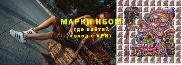 амф Гусиноозёрск