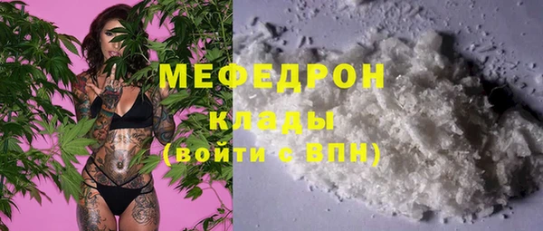 амф Гусиноозёрск