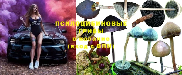 МДМА Гусев