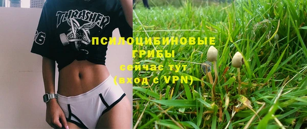 амф Гусиноозёрск