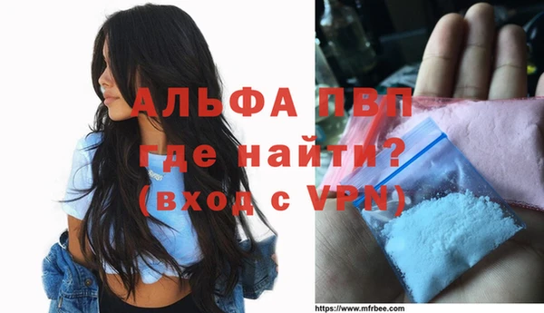 амф Гусиноозёрск
